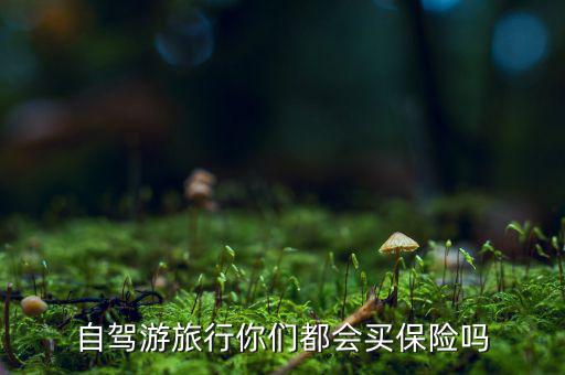 自駕游旅行你們都會買保險(xiǎn)嗎