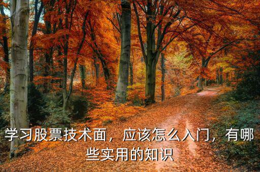 學(xué)習股票技術(shù)面，應(yīng)該怎么入門，有哪些實用的知識