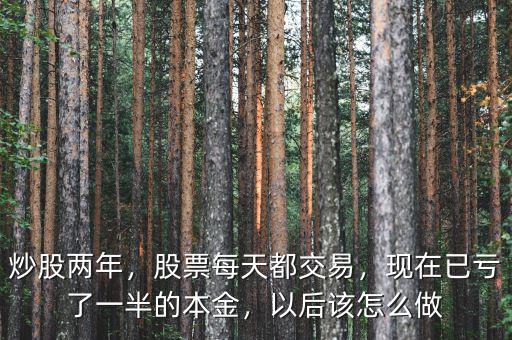 炒股兩年，股票每天都交易，現(xiàn)在已虧了一半的本金，以后該怎么做