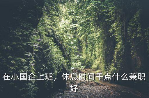 在小國(guó)企上班，休息時(shí)間干點(diǎn)什么兼職好
