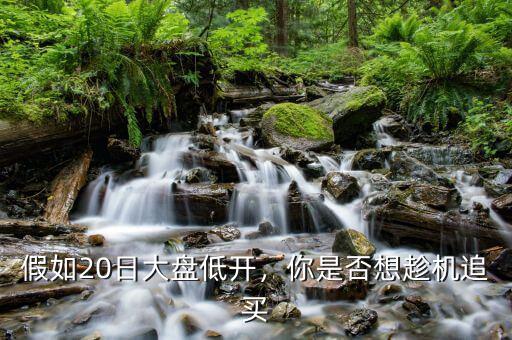 假如20日大盤低開，你是否想趁機追買