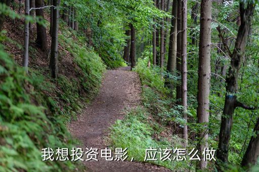 我想投資電影，應(yīng)該怎么做
