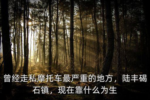 曾經(jīng)走私摩托車(chē)最嚴(yán)重的地方，陸豐碣石鎮(zhèn)，現(xiàn)在靠什么為生