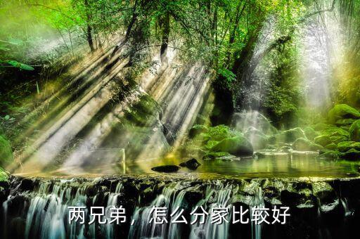 兩兄弟，怎么分家比較好