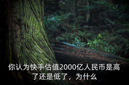 你認為快手估值2000億人民幣是高了還是低了，為什么