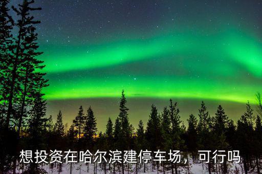 想投資在哈爾濱建停車場，可行嗎