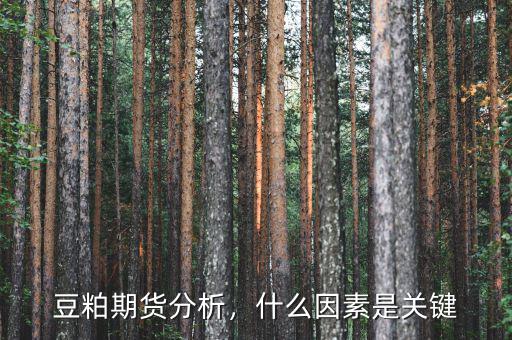 豆粕期貨分析，什么因素是關(guān)鍵