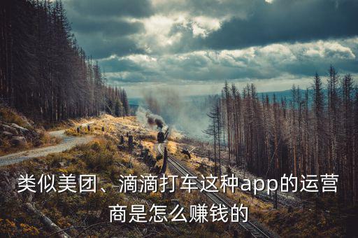 類(lèi)似美團(tuán)、滴滴打車(chē)這種app的運(yùn)營(yíng)商是怎么賺錢(qián)的