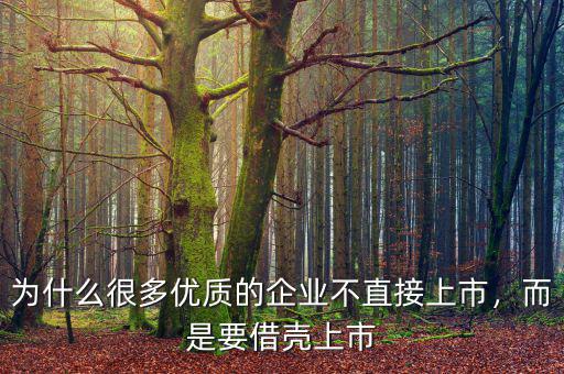 為什么很多優(yōu)質(zhì)的企業(yè)不直接上市，而是要借殼上市