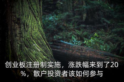 創(chuàng)業(yè)板注冊制實施，漲跌幅來到了20%，散戶投資者該如何參與