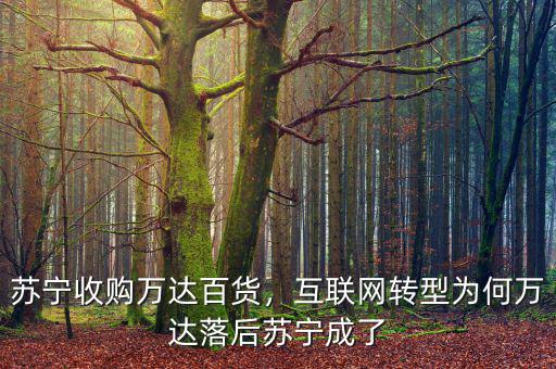 蘇寧收購(gòu)萬(wàn)達(dá)百貨，互聯(lián)網(wǎng)轉(zhuǎn)型為何萬(wàn)達(dá)落后蘇寧成了