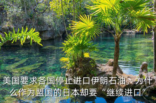 美國要求各國停止進(jìn)口伊朗石油，為什么作為盟國的日本卻要“繼續(xù)進(jìn)口”