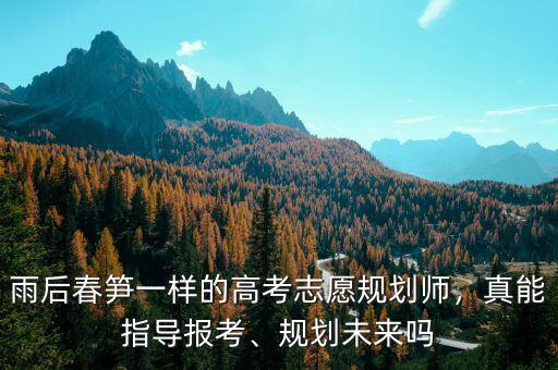 雨后春筍一樣的高考志愿規(guī)劃師，真能指導報考、規(guī)劃未來嗎
