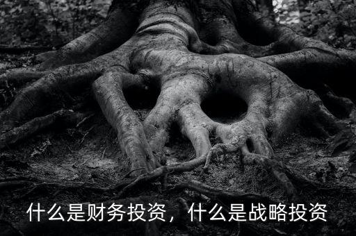 什么是財務(wù)投資，什么是戰(zhàn)略投資