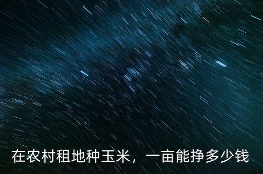 在農(nóng)村租地種玉米，一畝能掙多少錢