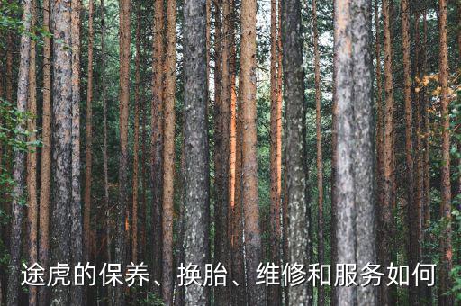 途虎的保養(yǎng)、換胎、維修和服務(wù)如何
