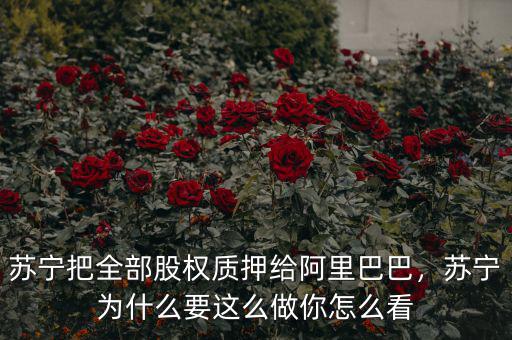 蘇寧把全部股權(quán)質(zhì)押給阿里巴巴，蘇寧為什么要這么做你怎么看