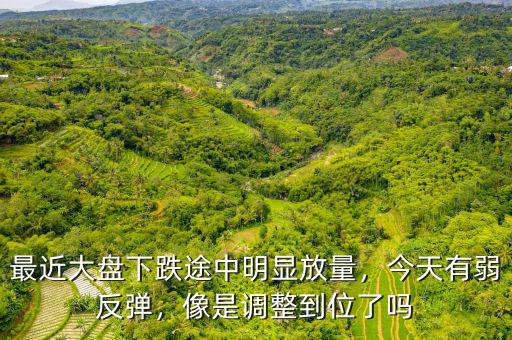 最近大盤下跌途中明顯放量，今天有弱反彈，像是調(diào)整到位了嗎