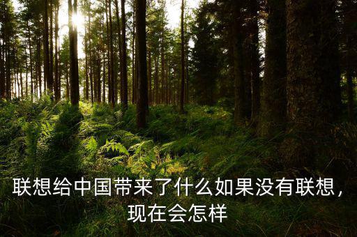 聯(lián)想給中國帶來了什么如果沒有聯(lián)想，現(xiàn)在會怎樣