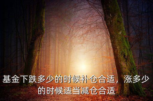 基金下跌多少的時候補倉合適，漲多少的時候適當減倉合適