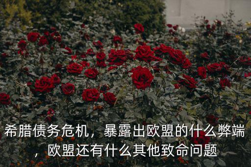 希臘債務(wù)危機(jī)，暴露出歐盟的什么弊端，歐盟還有什么其他致命問(wèn)題