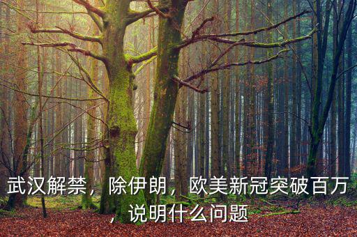 武漢解禁，除伊朗，歐美新冠突破百萬，說明什么問題