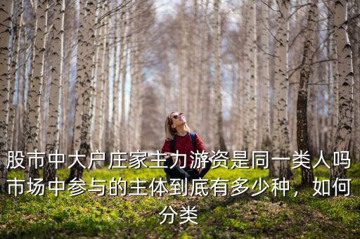 股市中大戶莊家主力游資是同一類人嗎市場中參與的主體到底有多少種，如何分類