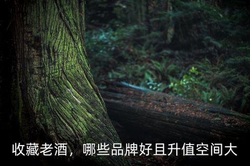 收藏老酒，哪些品牌好且升值空間大