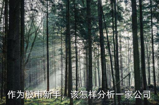 作為股市新手，該怎樣分析一家公司
