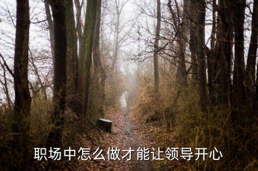 怎么做領(lǐng)導,職場中怎么做才能讓領(lǐng)導開心