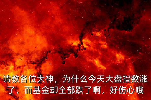 請(qǐng)教各位大神，為什么今天大盤(pán)指數(shù)漲了，而基金卻全部跌了啊，好傷心哦