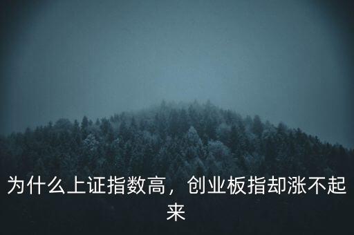 為什么上證指數(shù)高，創(chuàng)業(yè)板指卻漲不起來(lái)