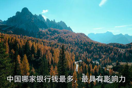 中國(guó)哪家銀行錢(qián)最多，最具有影響力