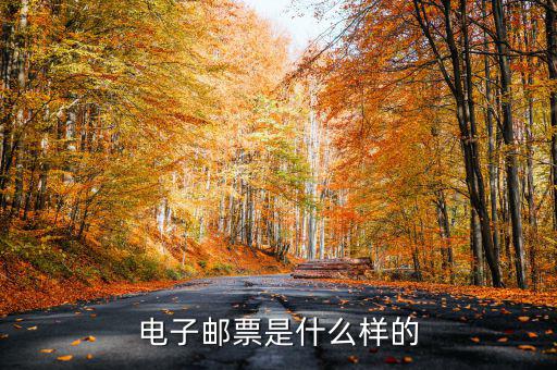 油票的電子發(fā)票長什么樣，電子發(fā)票是什么樣的