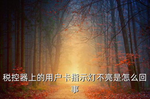 稅控機(jī)用戶卡是什么，稅控器上的用戶卡指示燈不亮是怎么回事