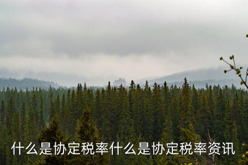 什么是稅收協(xié)定稅率，什么是稅收協(xié)定