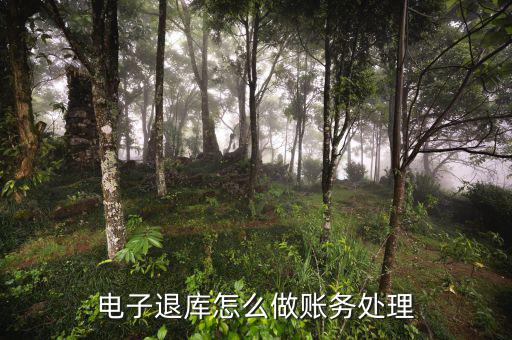 地稅電子退庫入什么科目，電子退庫款退稅款的會計分錄怎么做求解答