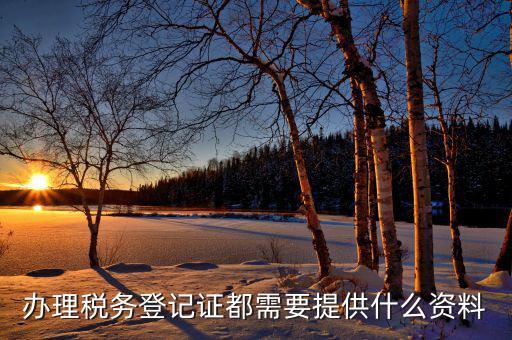 稅務(wù)登記都需要什么資料，辦理稅務(wù)登記證都需要提供什么資料