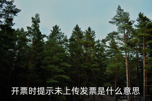 打發(fā)票時顯示未上傳是什么原因，電子發(fā)票未上傳