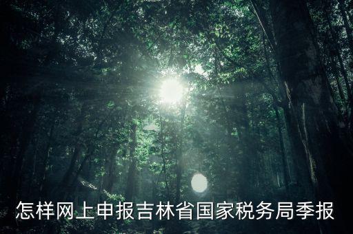 吉林省用什么報(bào)稅系統(tǒng)，吉林省的報(bào)稅系統(tǒng)如何使用