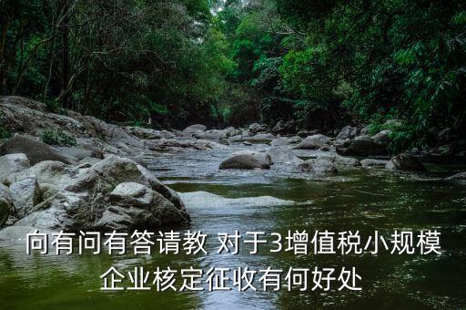 核定征收有什么好處，向有問有答請教 對于3增值稅小規(guī)模企業(yè)核定征收有何好處