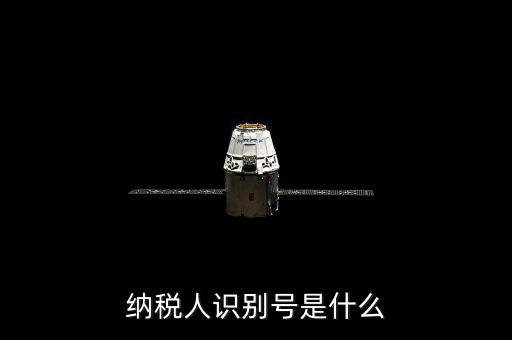 海寧市國家稅務局認別號是什么，納稅人識別號是什么
