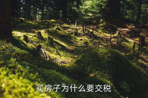 為什么 家庭納稅，納稅對家庭有什么影響