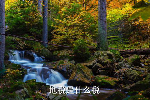 地稅專項(xiàng)收入是什么稅，地稅是什么稅