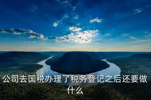 國稅辦完之后辦什么，公司去國稅辦理了稅務(wù)登記之后還要做什么
