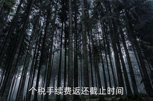 個稅手續(xù)費返還什么時候還，個稅手續(xù)費返還時間