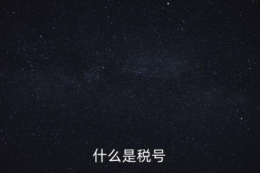 什么是單位稅號，什么是稅號