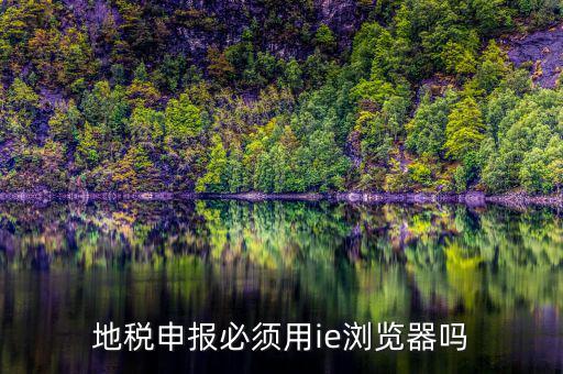 用什么瀏覽器申報山東地稅，地稅申報必須用ie瀏覽器嗎