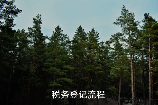 扣繳稅款登記主要流程是什么意思，納稅流程是怎樣的