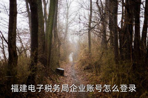 福建省地稅登入名是什么，地稅網(wǎng)上報(bào)稅平臺(tái)報(bào)稅賬號(hào)是什么